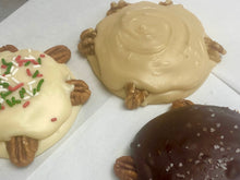 Load image into Gallery viewer, Turtle Trio - 3 Large Handmade Turtles - 1.25 lbs total