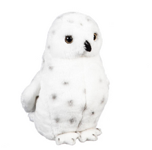 Load image into Gallery viewer, Winter Grove Wildlife Adventures Snowy Owl