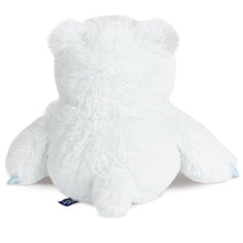 Load image into Gallery viewer, White teddy bear plush toy on a white background