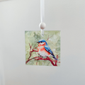 Window Charm -  Eastern Blue Bird | Suncatcher | Window Art : Circle