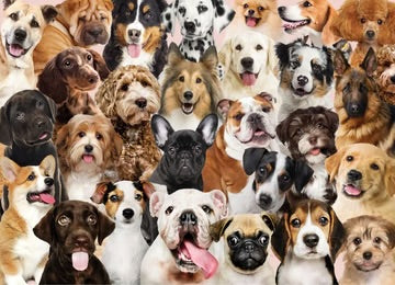 “All The Dogs”- 500 Piece Puzzle