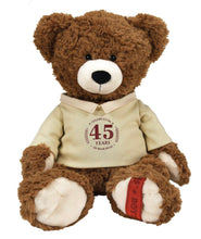 Load image into Gallery viewer, Brown teddy bear wearing a cream hoodie with text on a white background

