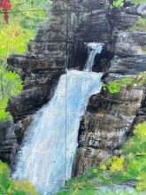 Load image into Gallery viewer, Cardinal at Linville Falls,NC. Original painting on reclaimed wood
