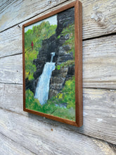 Load image into Gallery viewer, Cardinal at Linville Falls,NC. Original painting on reclaimed wood
