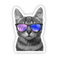 Cat wearing sunglasses with a galaxy design on a white background