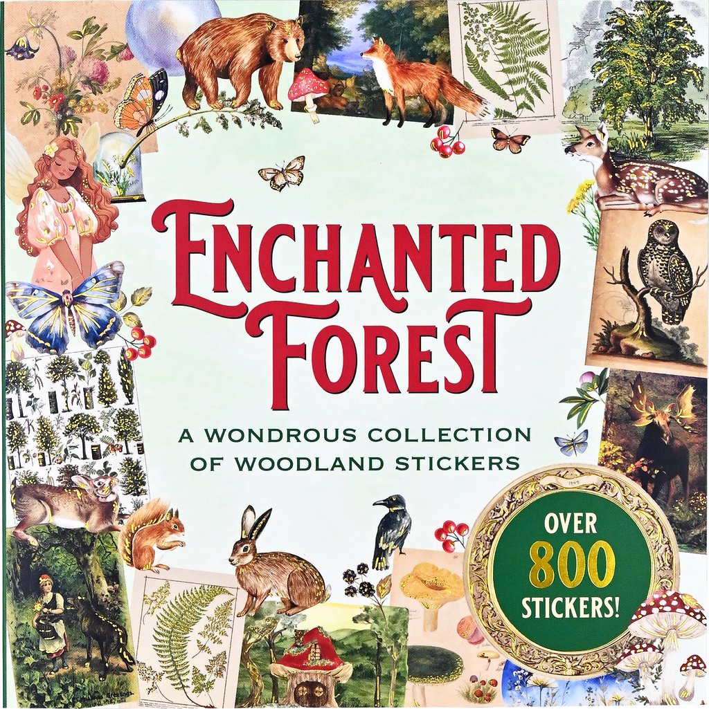 Cover of 'Enchanted Forest' sticker book with various stickers and text on a white background