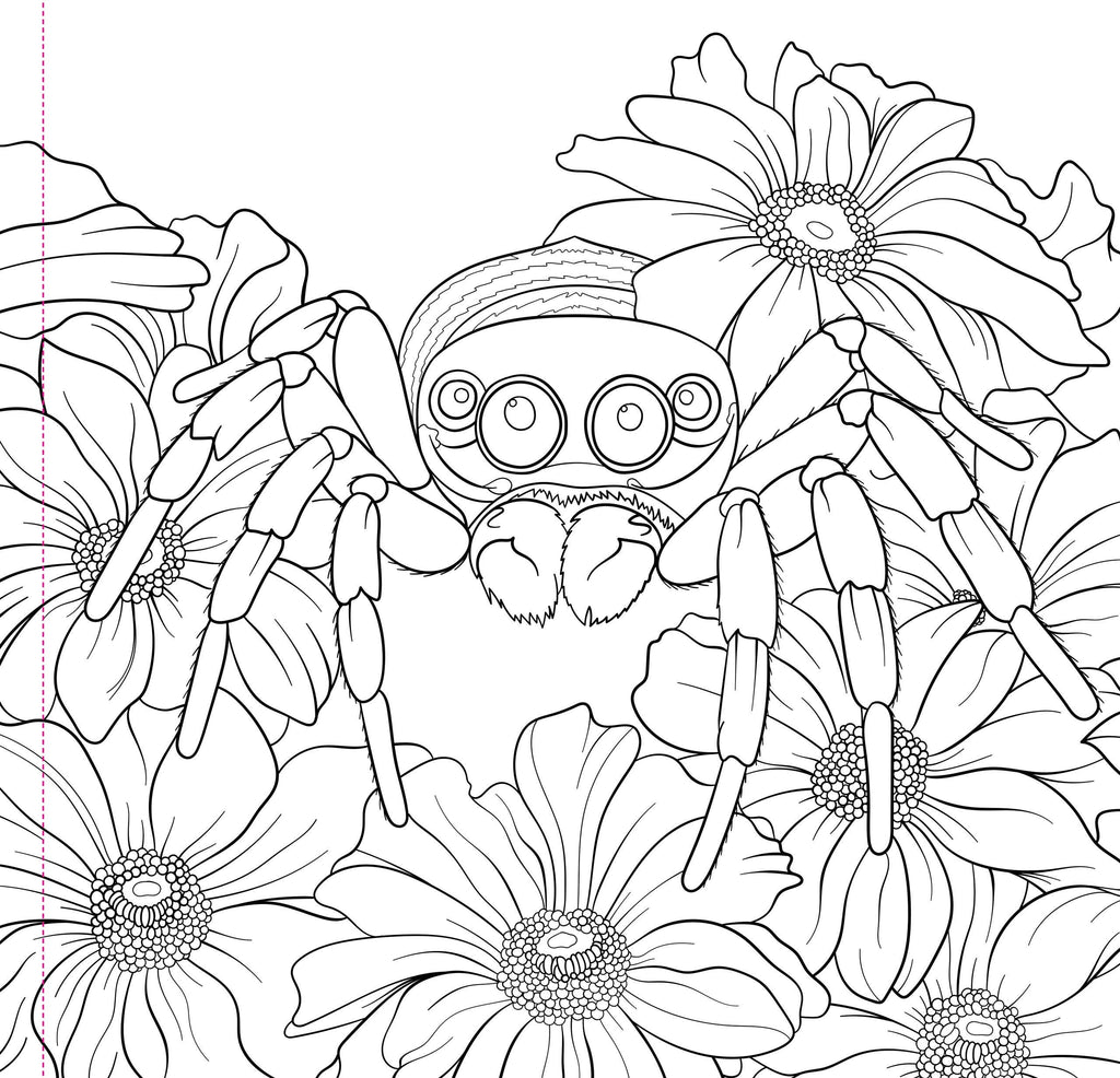 Black and white spider and flowers coloring page