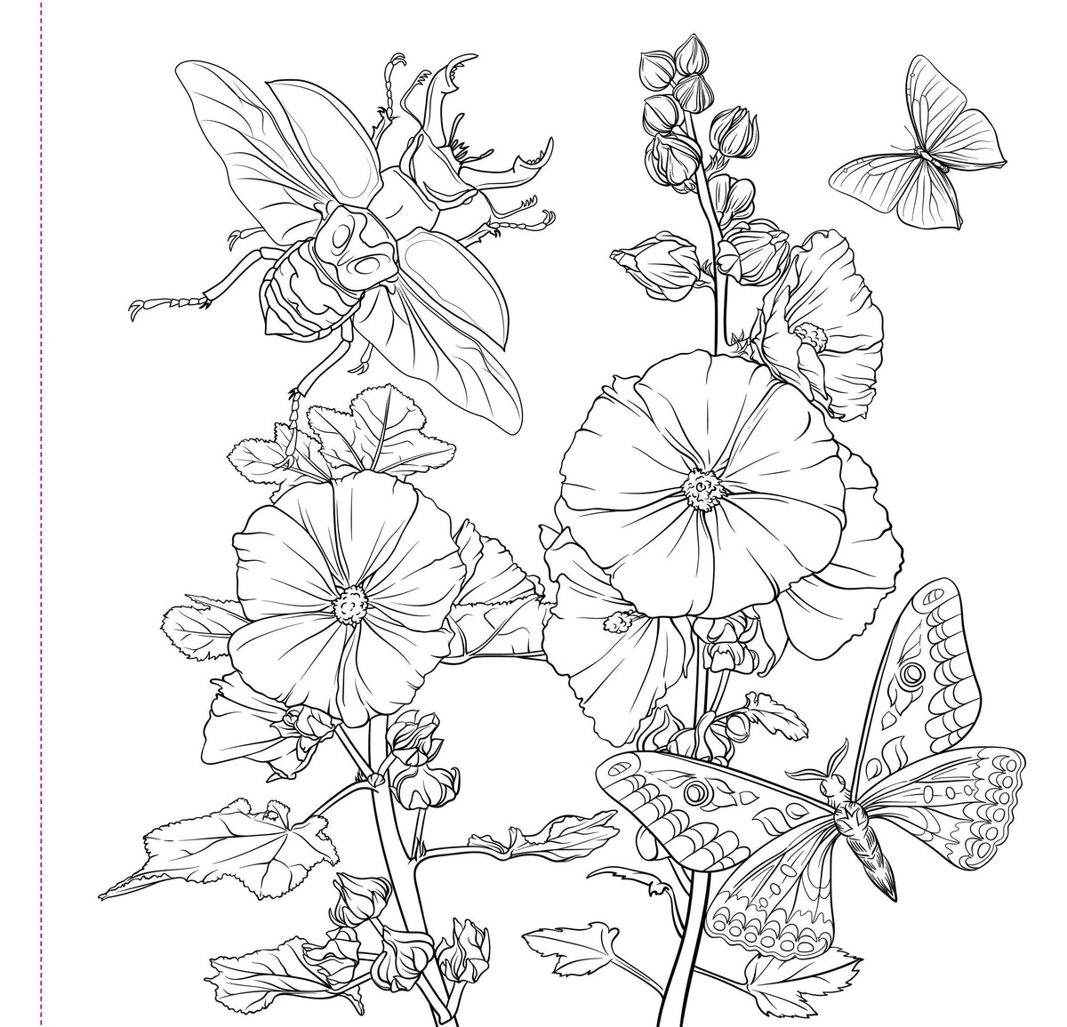 Black and white line drawing of flowers and insects on a white background