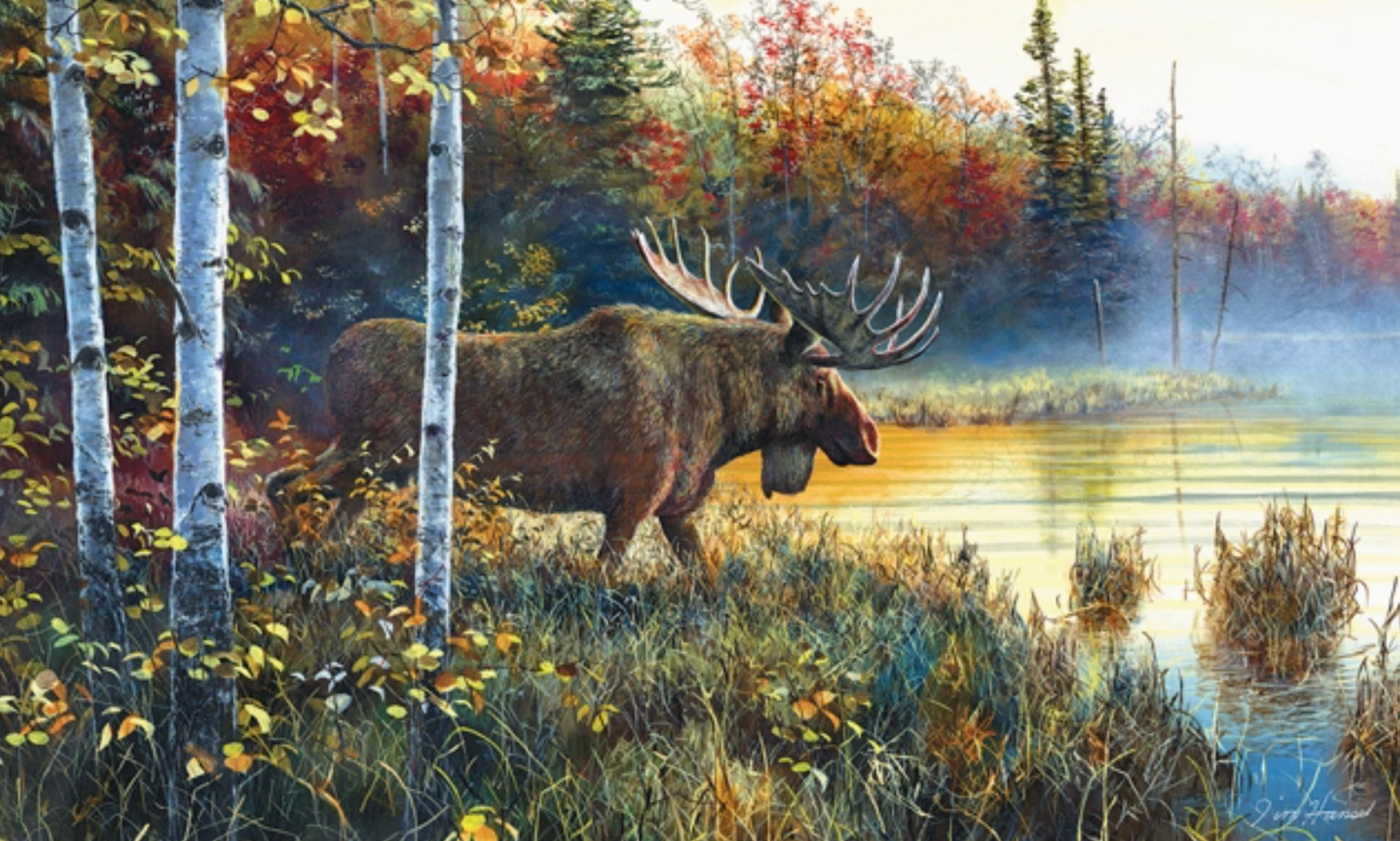 Moose standing by a lake with birch trees and autumn foliage