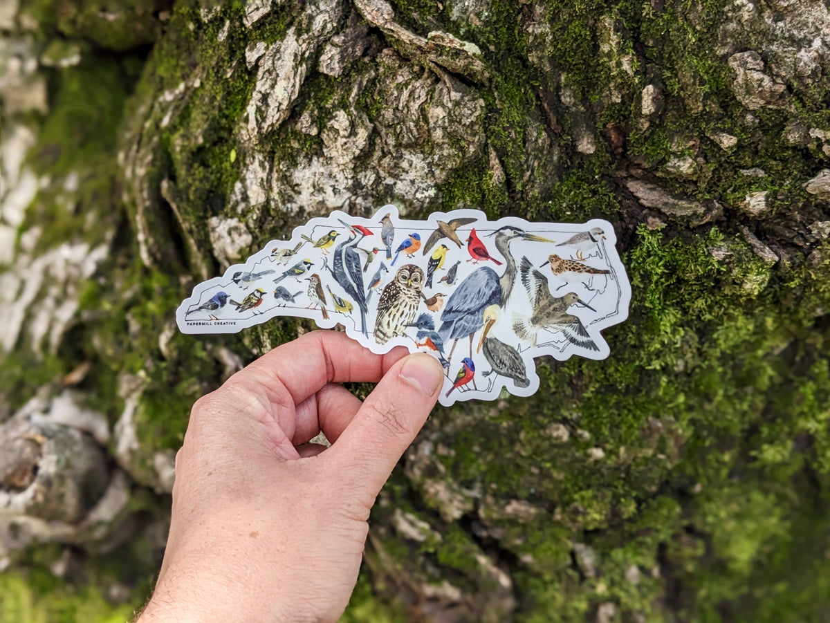 Hand holding a nature-themed sticker with various animals against a tree bark background
