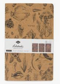 Assorted Earth Notebook - Set of 3