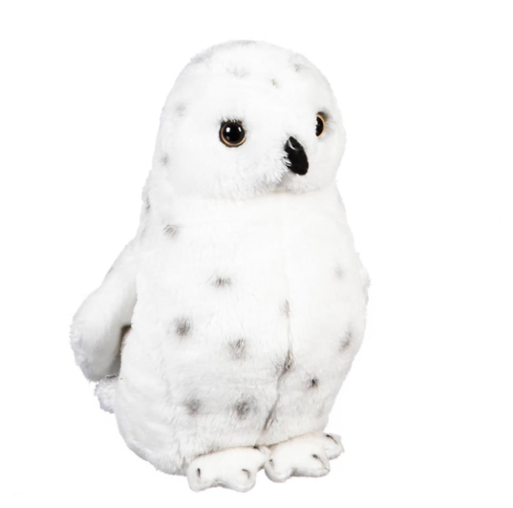 Winter Grove Wildlife Adventures Snowy Owl