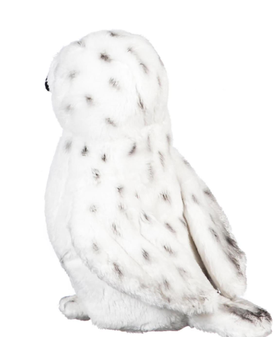 Winter Grove Wildlife Adventures Snowy Owl