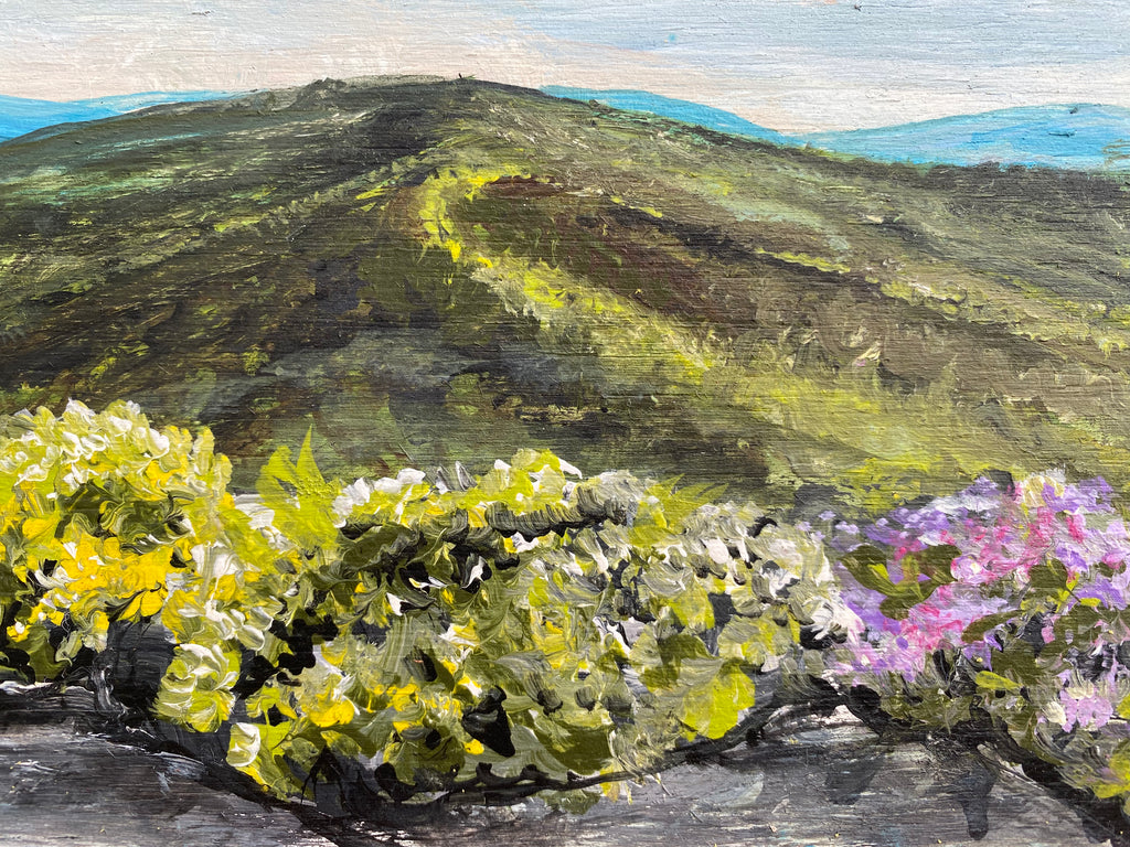 Spring in the North Carolina Mountains  reclaimed pallet wood painting