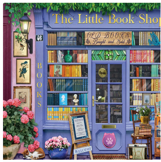 Illustration of a quaint bookshop named 'The Little Book Shop' with shelves filled with books, potted plants, and decorative elements.