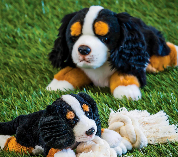Wildlife Adventures Bernese Mountain Dog Plushie