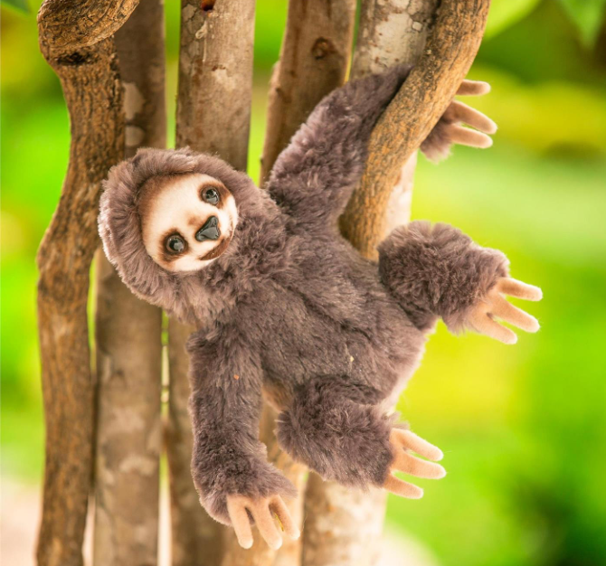 Wildlife Adventures Plush Sloth