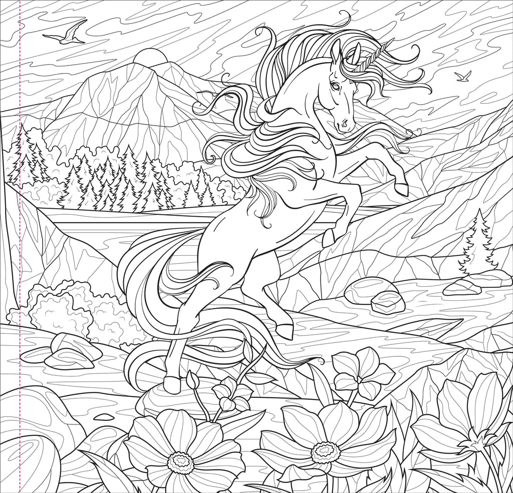 Enchanted Kingdom Adult Coloring Book