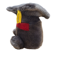 Load image into Gallery viewer, Canned Graduation Cap | Graduate Gift | Plush in Can w/Jokes: Pop Top Lid
