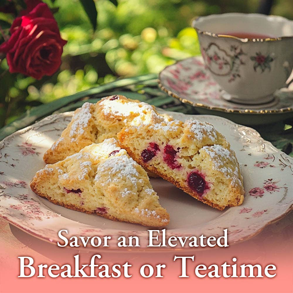 Traditional Orange Cranberry Scone Mix, 18 oz 