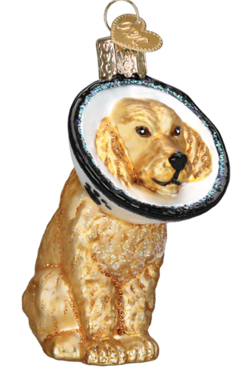 Cone of Shame Dog Ornament - Old World Christmas