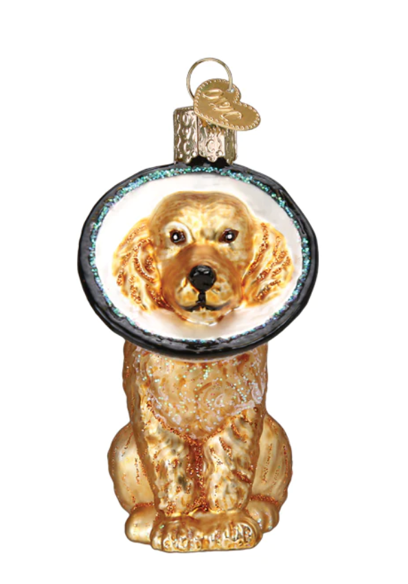 Cone of Shame Dog Ornament - Old World Christmas