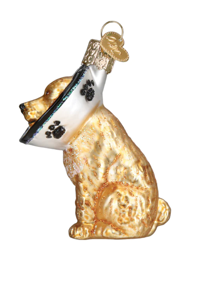 Cone of Shame Dog Ornament - Old World Christmas