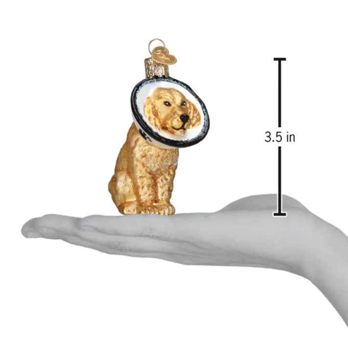 Cone of Shame Dog Ornament - Old World Christmas