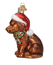 Load image into Gallery viewer, Holiday Chocolate Labrador Pup Ornament - Old World Christmas
