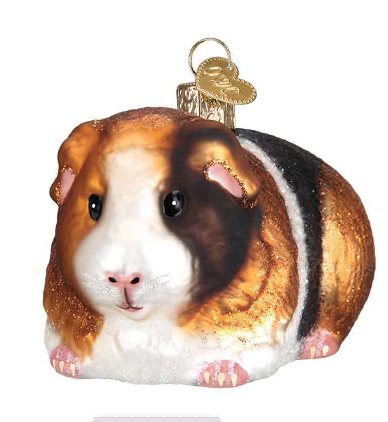 Guinea Pig Ornament - Old World Christmas