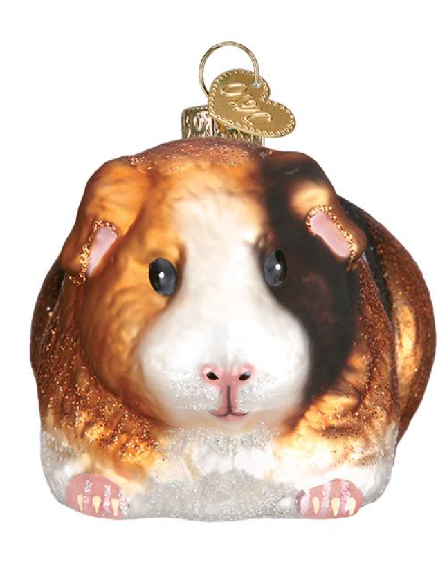 Guinea Pig Ornament - Old World Christmas