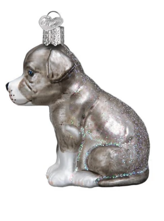 Pitbull Pup Ornament - Old World Christmas