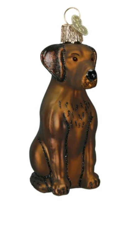 Chocolate Labrador Ornament - Old World Christmas