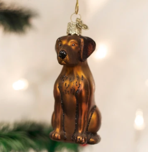 Chocolate Labrador Ornament - Old World Christmas