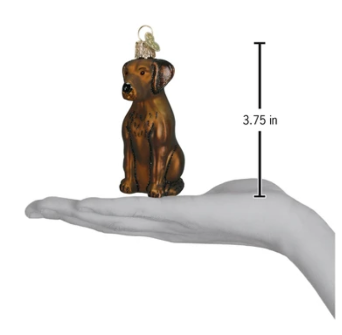 Chocolate Labrador Ornament - Old World Christmas