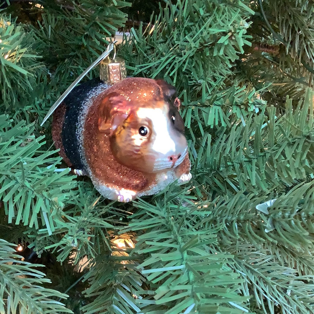 Guinea Pig Ornament - Old World Christmas
